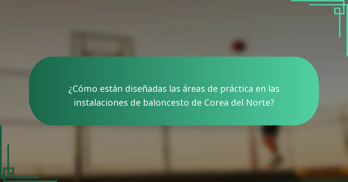 ¿Cómo están diseñadas las áreas de práctica en las instalaciones de baloncesto de Corea del Norte?
